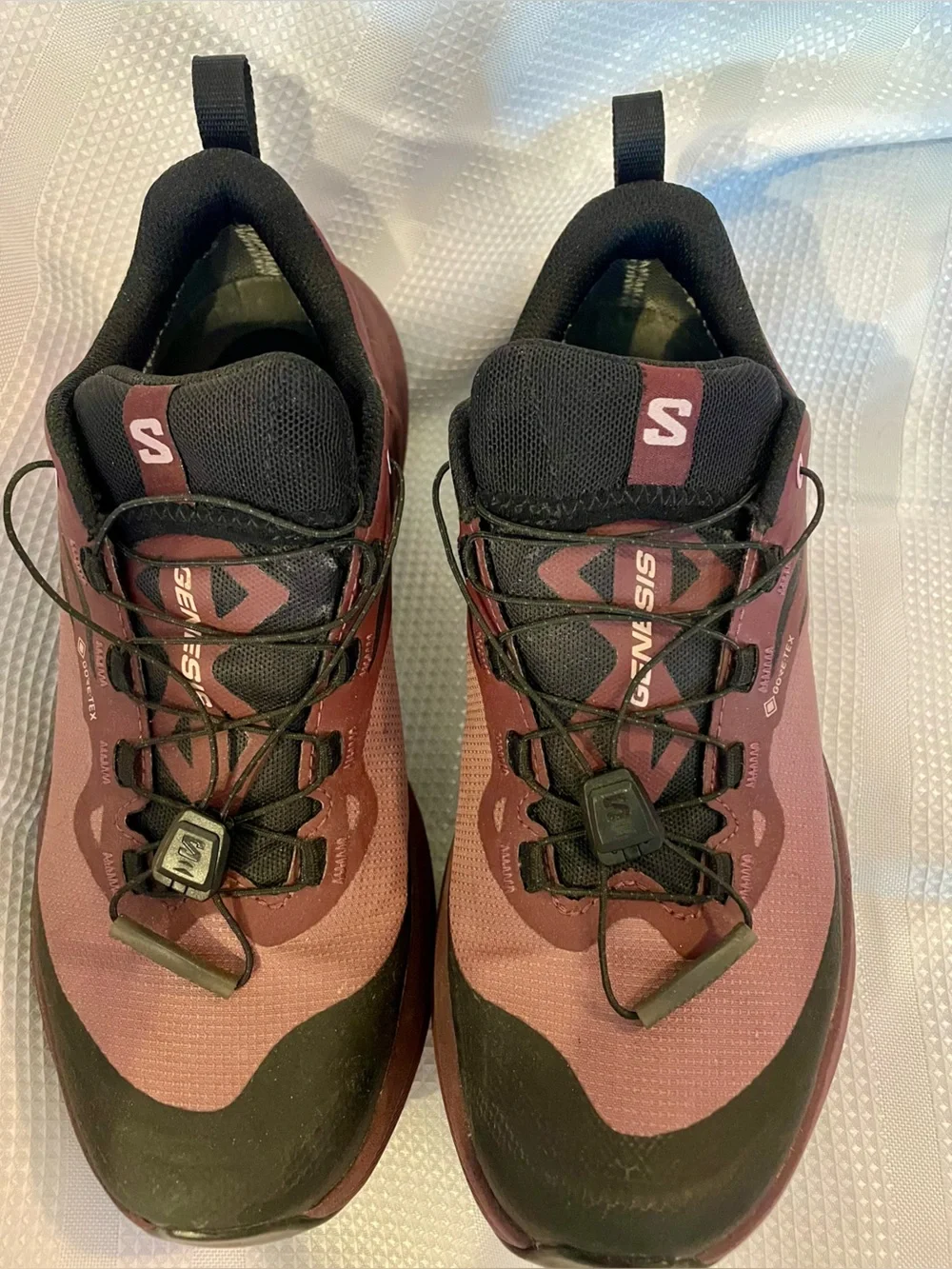 Salomon Burgundy and Pink Gore-Tex Trail Running Shoes